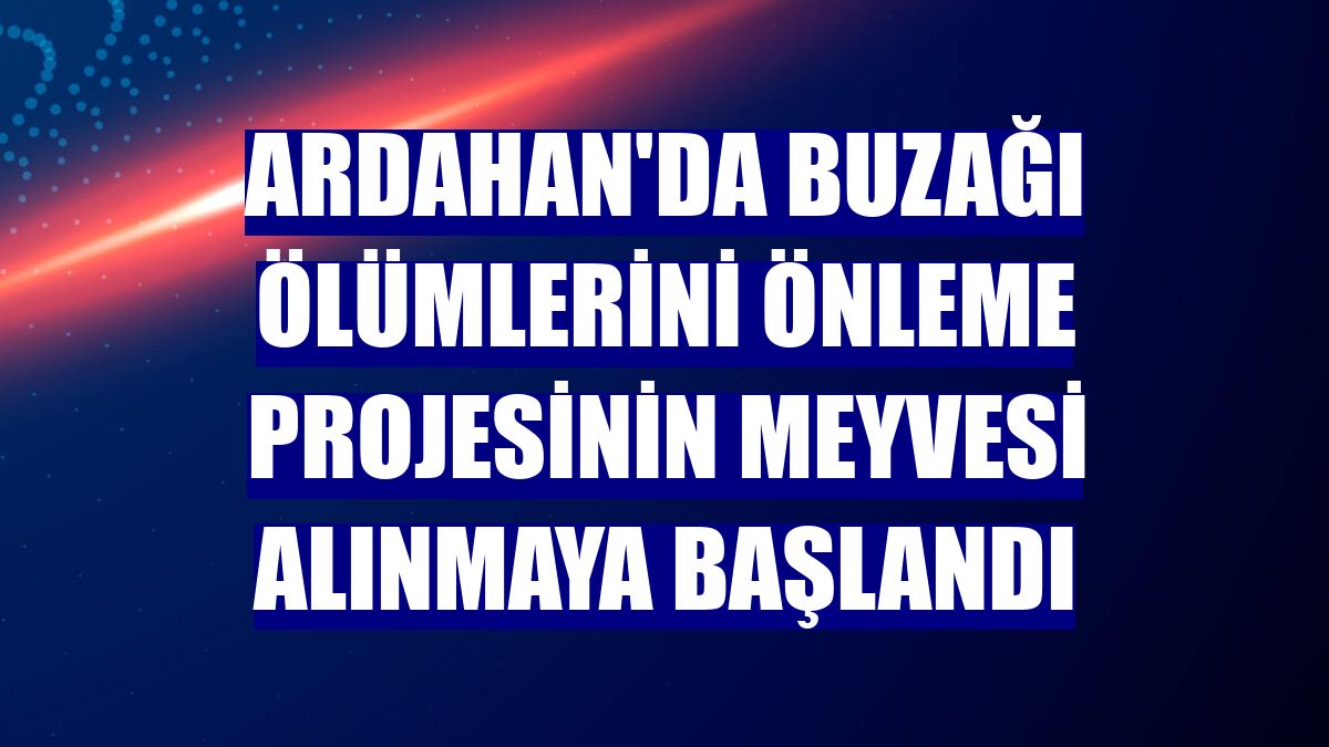 Ardahan'da buzağı ölümlerini önleme projesinin meyvesi alınmaya başlandı