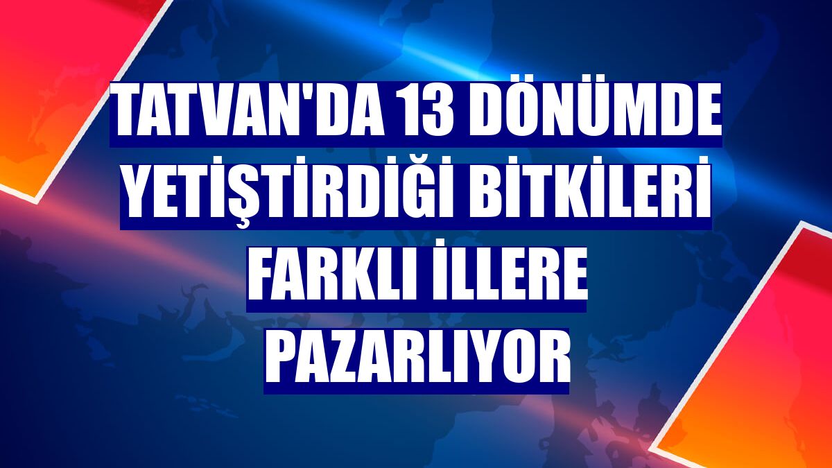 Tatvan'da 13 dönümde yetiştirdiği bitkileri farklı illere pazarlıyor