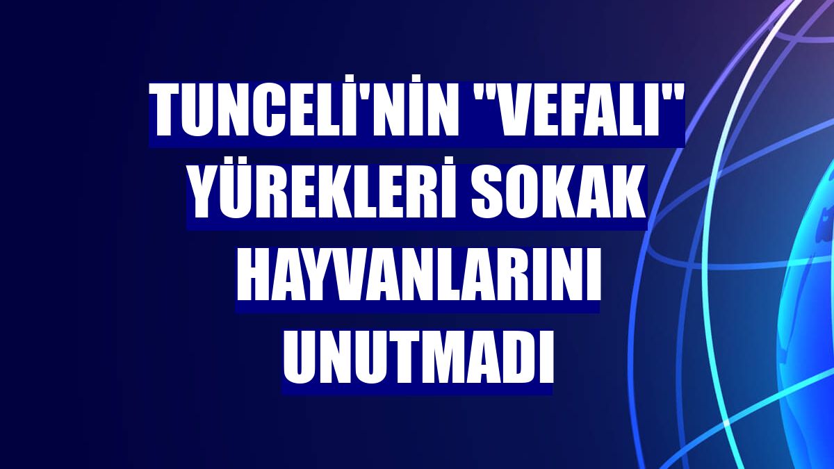 Tunceli'nin "Vefalı" yürekleri sokak hayvanlarını unutmadı