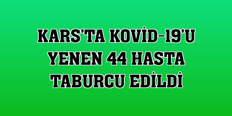 Kars'ta Kovid-19'u yenen 44 hasta taburcu edildi