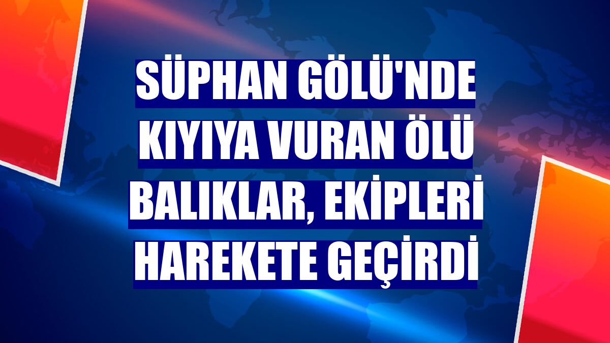 Süphan Gölü'nde kıyıya vuran ölü balıklar, ekipleri harekete geçirdi