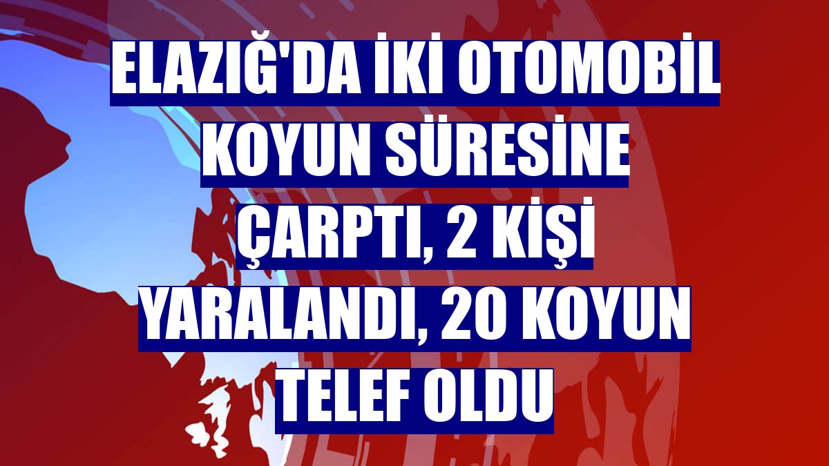 Elazığ'da iki otomobil koyun süresine çarptı, 2 kişi yaralandı, 20 koyun telef oldu