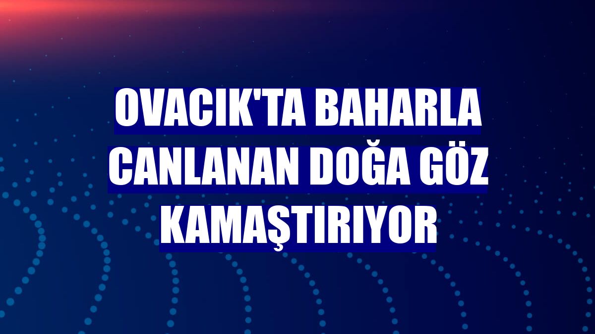 Ovacık'ta baharla canlanan doğa göz kamaştırıyor