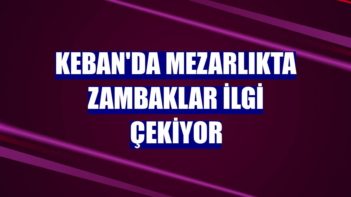 Keban'da mezarlıkta zambaklar ilgi çekiyor