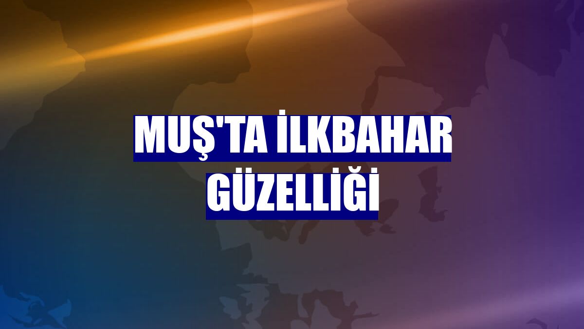 Muş'ta ilkbahar güzelliği
