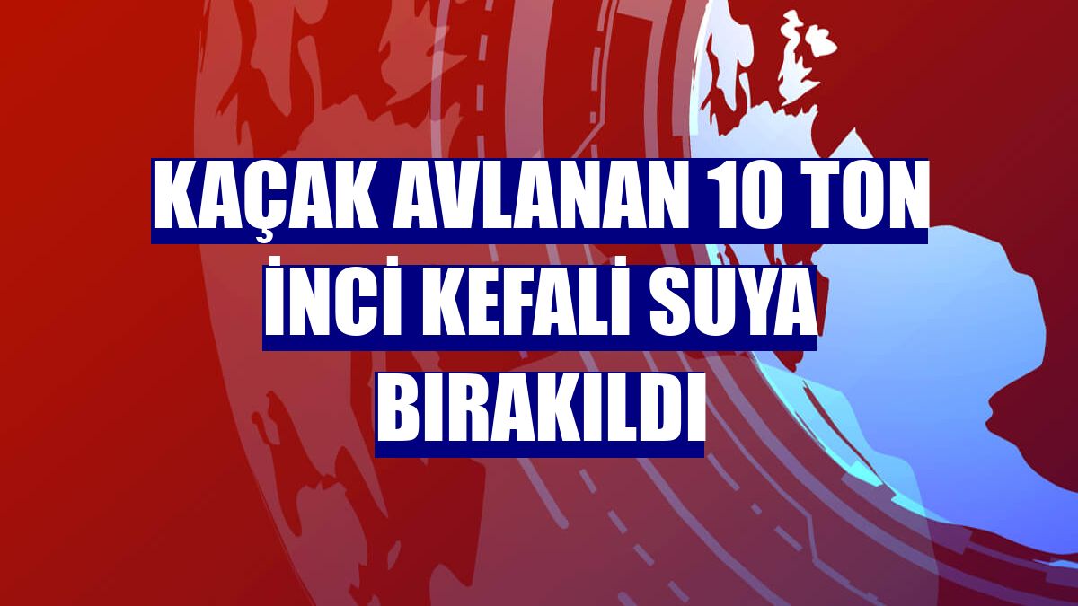 Kaçak avlanan 10 ton inci kefali suya bırakıldı