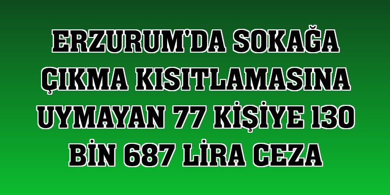Erzurum'da sokağa çıkma kısıtlamasına uymayan 77 kişiye 130 bin 687 lira ceza