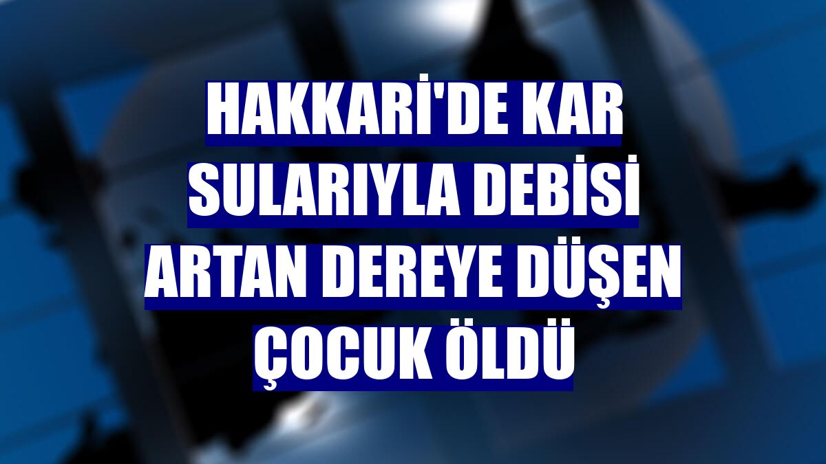Hakkari'de kar sularıyla debisi artan dereye düşen çocuk öldü