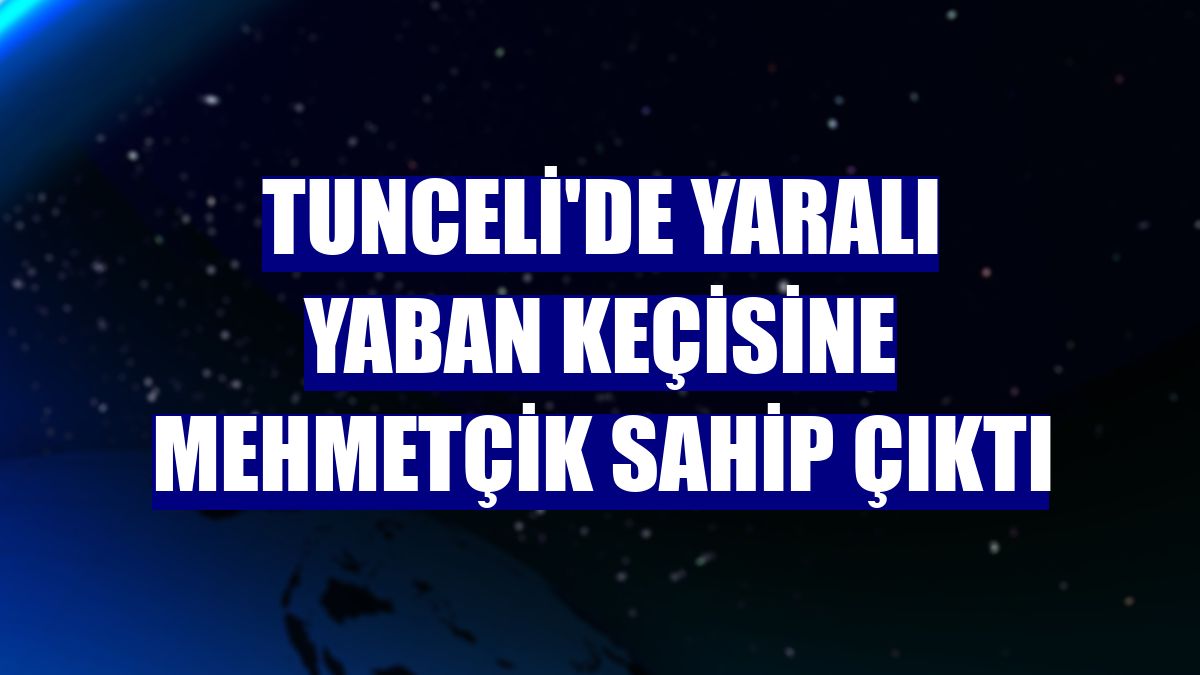 Tunceli'de yaralı yaban keçisine Mehmetçik sahip çıktı
