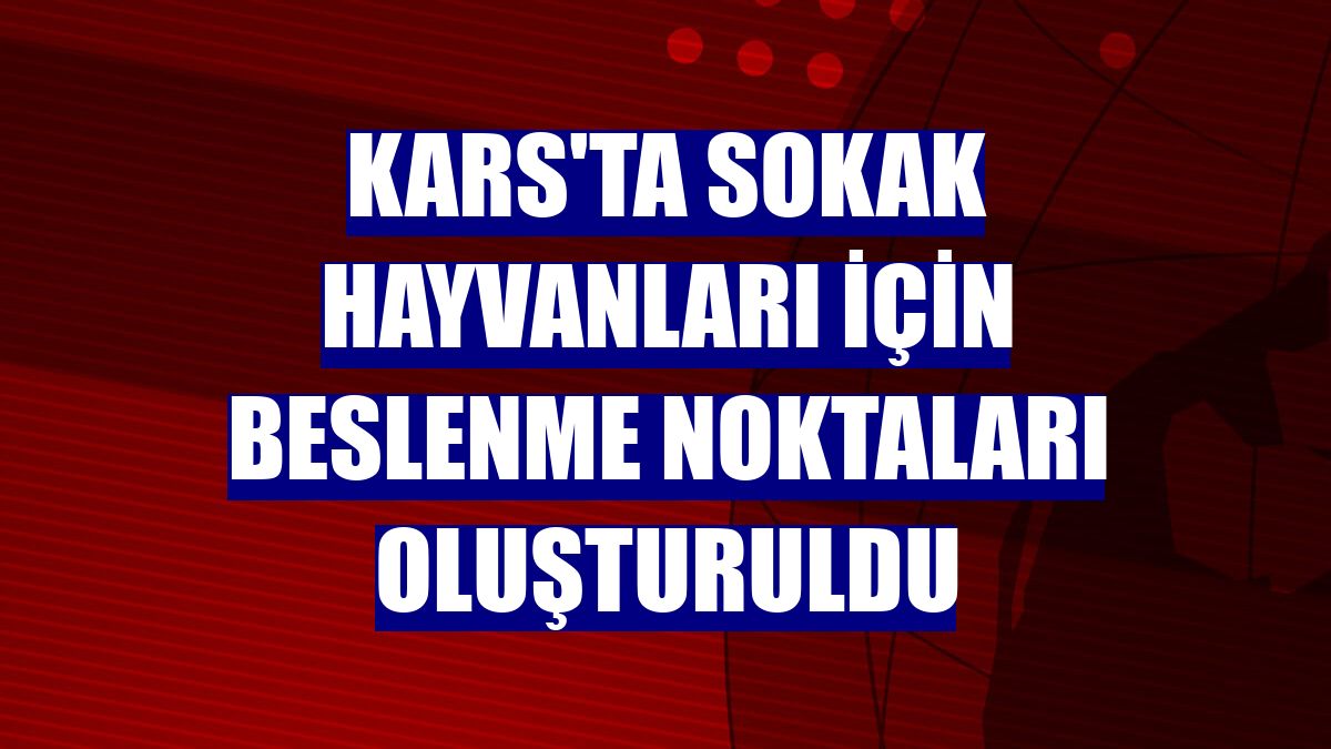 Kars'ta sokak hayvanları için beslenme noktaları oluşturuldu