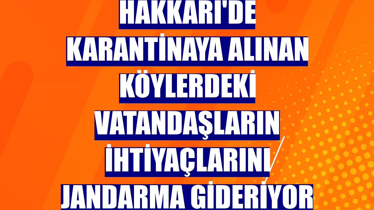 Hakkari'de karantinaya alınan köylerdeki vatandaşların ihtiyaçlarını jandarma gideriyor