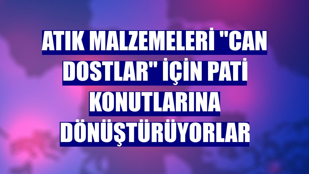 Atık malzemeleri "can dostlar" için pati konutlarına dönüştürüyorlar