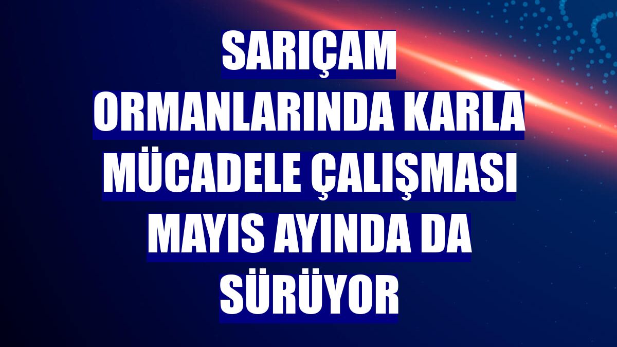 Sarıçam ormanlarında karla mücadele çalışması mayıs ayında da sürüyor