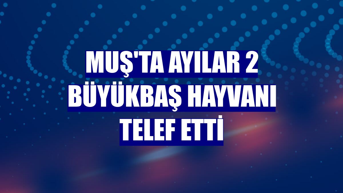 Muş'ta ayılar 2 büyükbaş hayvanı telef etti