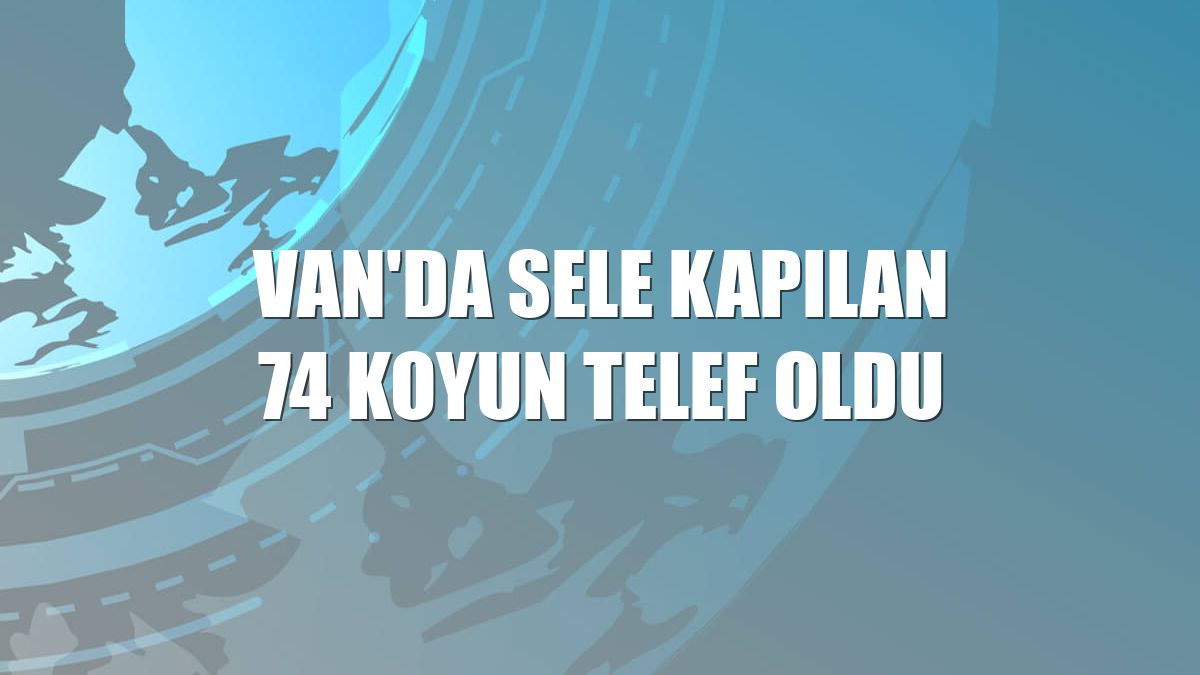 Van'da sele kapılan 74 koyun telef oldu
