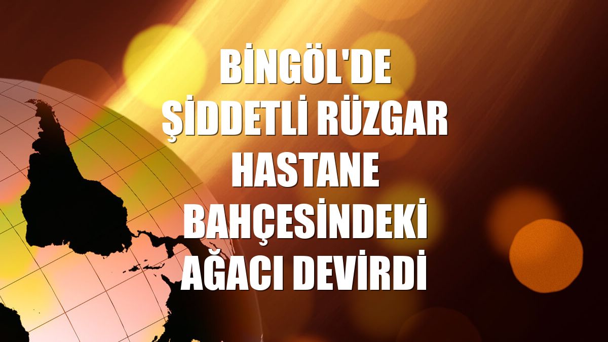 Bingöl'de şiddetli rüzgar hastane bahçesindeki ağacı devirdi