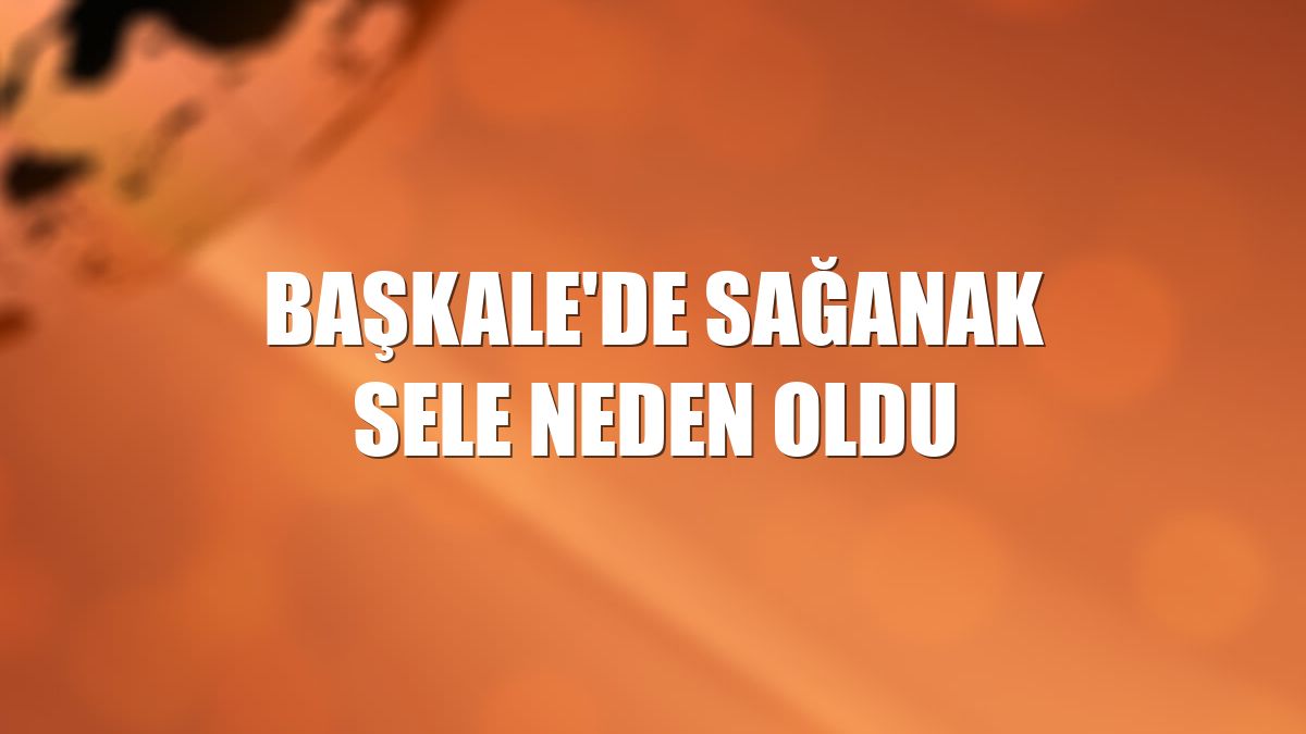 Başkale'de sağanak sele neden oldu