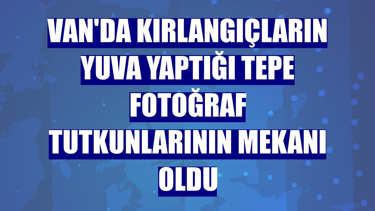 Van'da kırlangıçların yuva yaptığı tepe fotoğraf tutkunlarının mekanı oldu