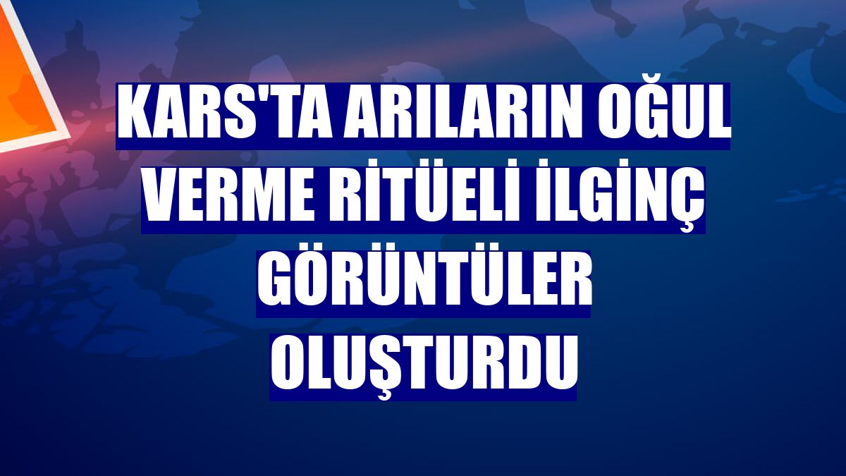 Kars'ta arıların oğul verme ritüeli ilginç görüntüler oluşturdu