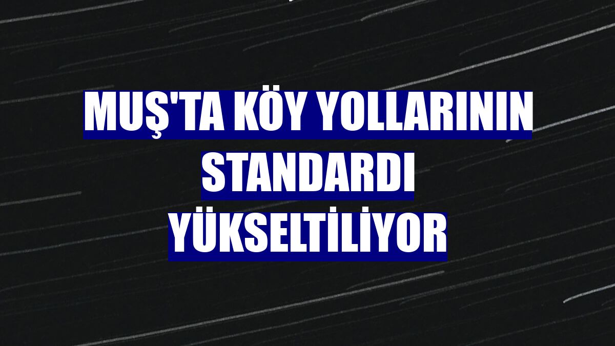 Muş'ta köy yollarının standardı yükseltiliyor