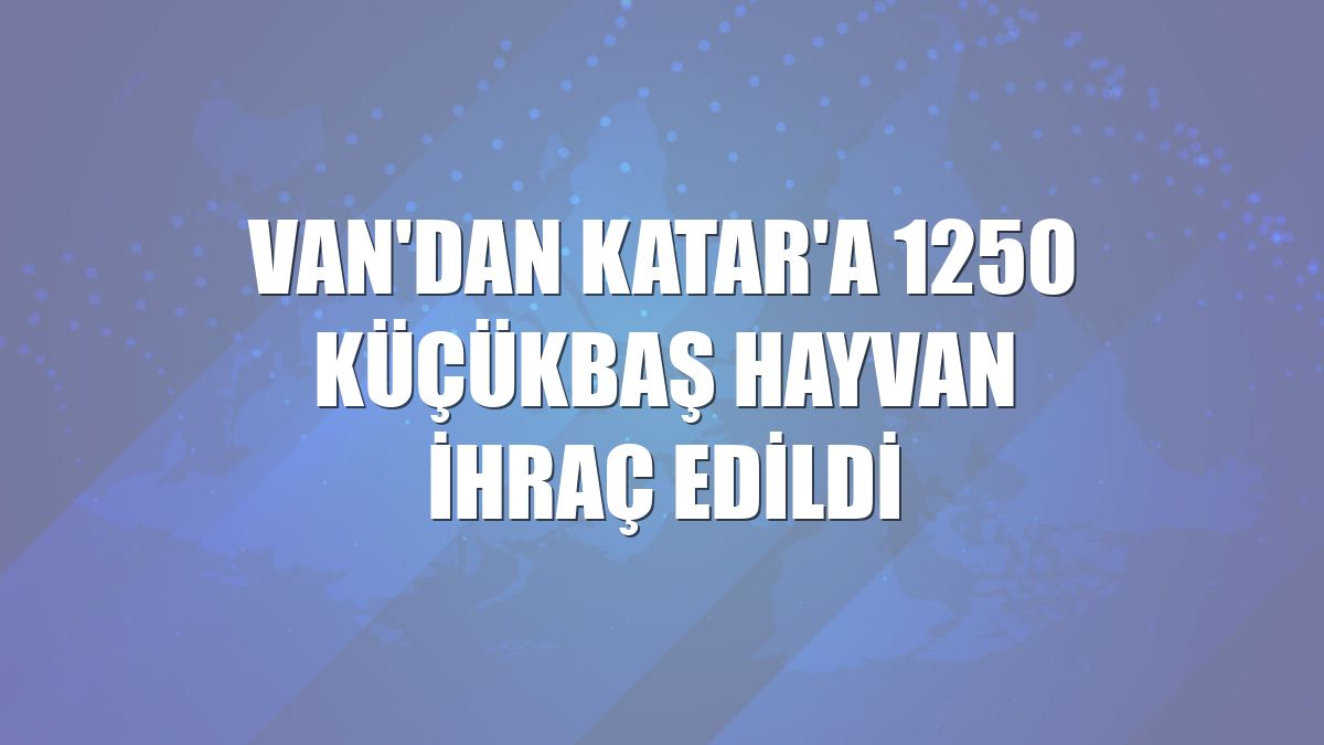Van'dan Katar'a 1250 küçükbaş hayvan ihraç edildi