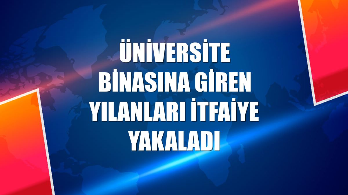 Üniversite binasına giren yılanları itfaiye yakaladı