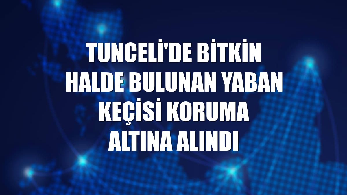 Tunceli'de bitkin halde bulunan yaban keçisi koruma altına alındı