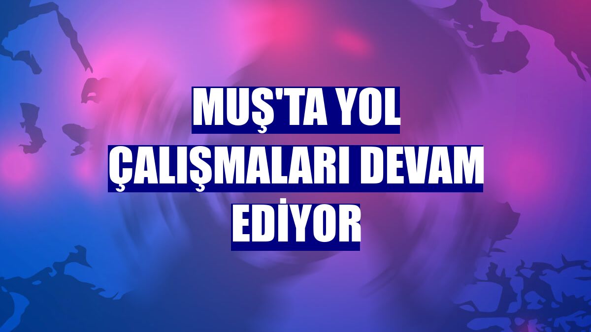 Muş'ta yol çalışmaları devam ediyor