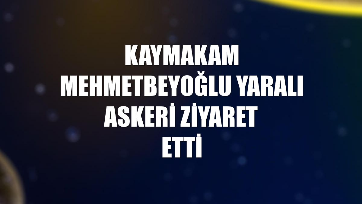 Kaymakam Mehmetbeyoğlu yaralı askeri ziyaret etti