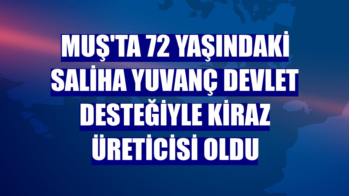 Muş'ta 72 yaşındaki Saliha Yuvanç devlet desteğiyle kiraz üreticisi oldu