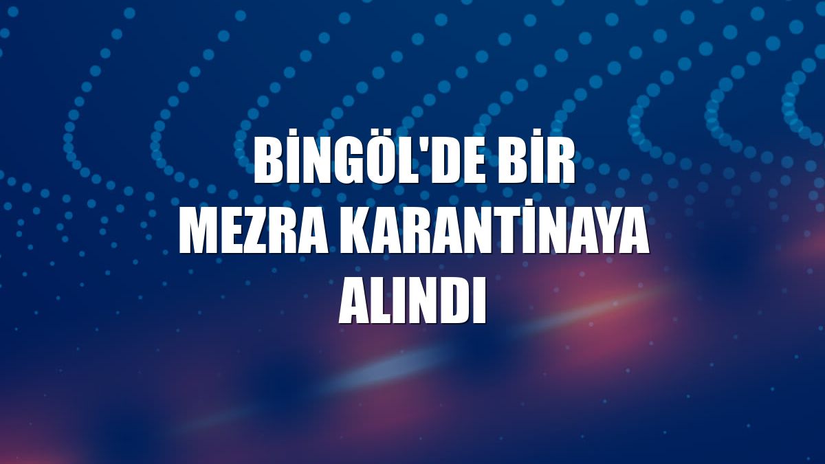 Bingöl'de bir mezra karantinaya alındı