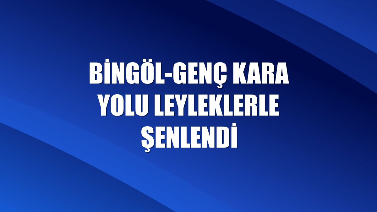 Bingöl-Genç kara yolu leyleklerle şenlendi