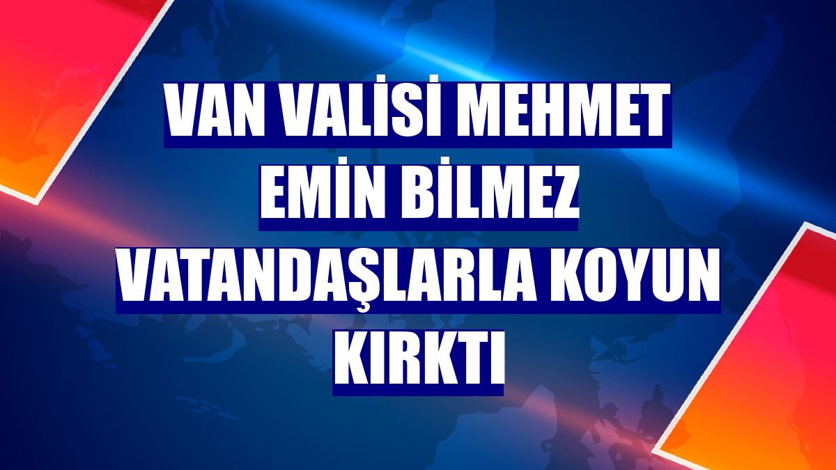 Van Valisi Mehmet Emin Bilmez vatandaşlarla koyun kırktı