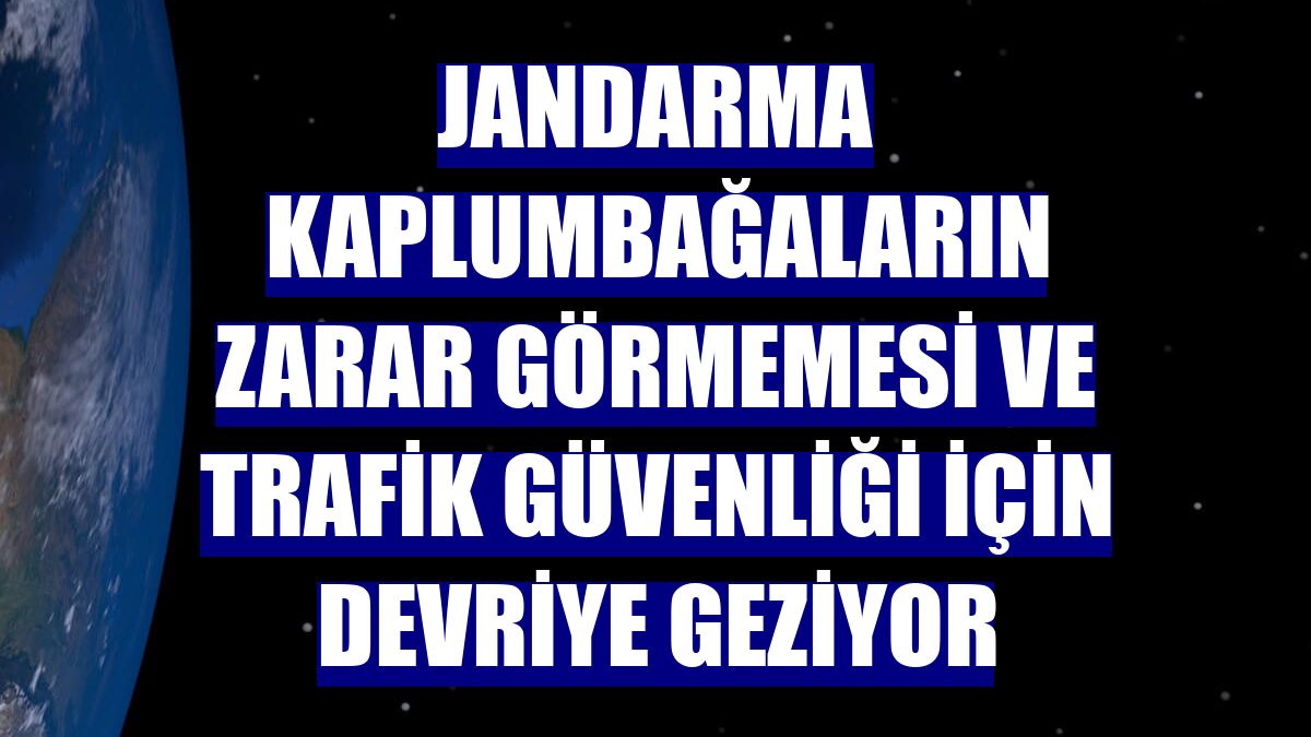 Jandarma kaplumbağaların zarar görmemesi ve trafik güvenliği için devriye geziyor