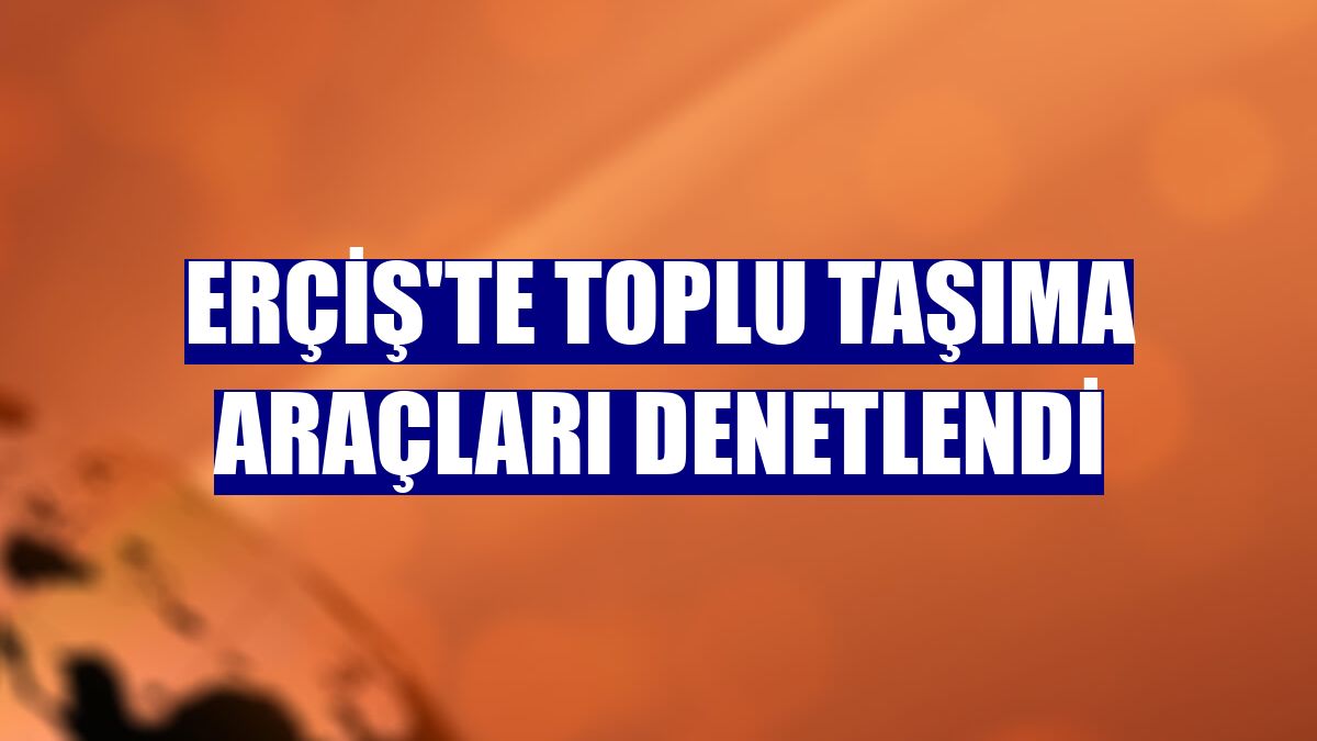 Erçiş'te toplu taşıma araçları denetlendi