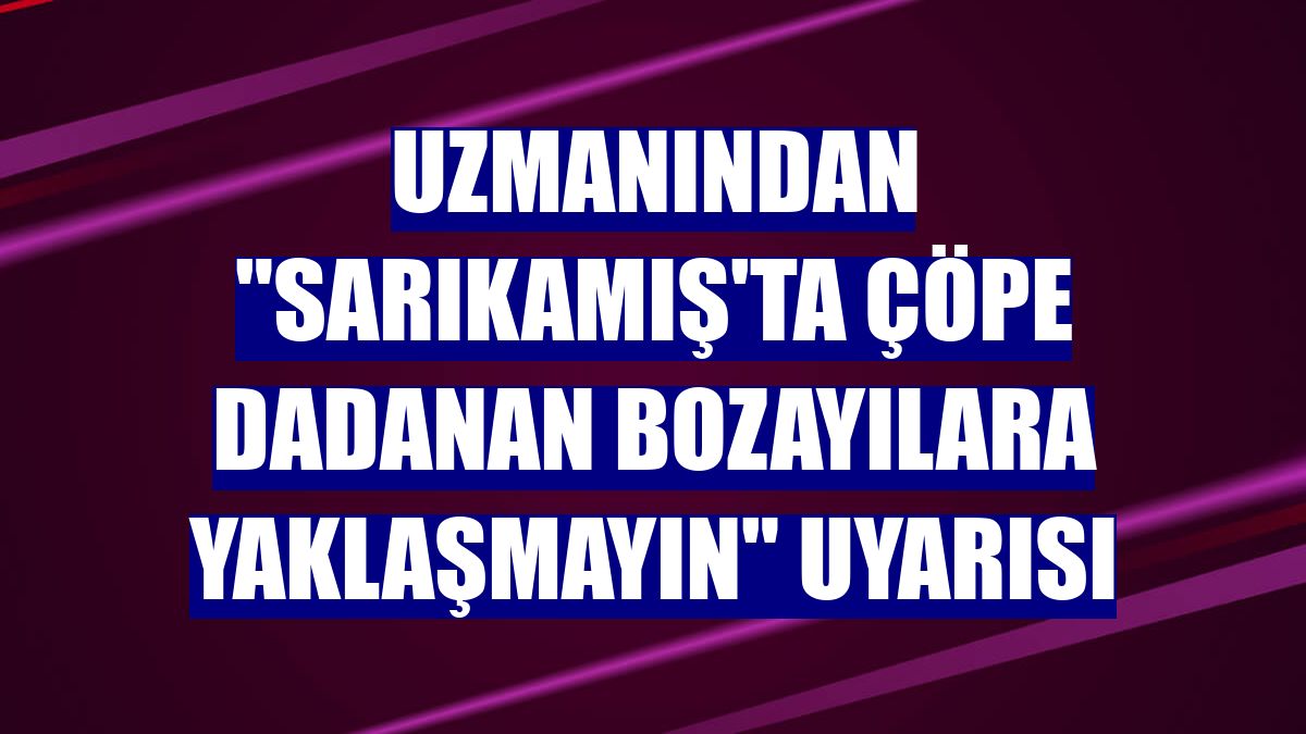 Uzmanından "Sarıkamış'ta çöpe dadanan bozayılara yaklaşmayın" uyarısı