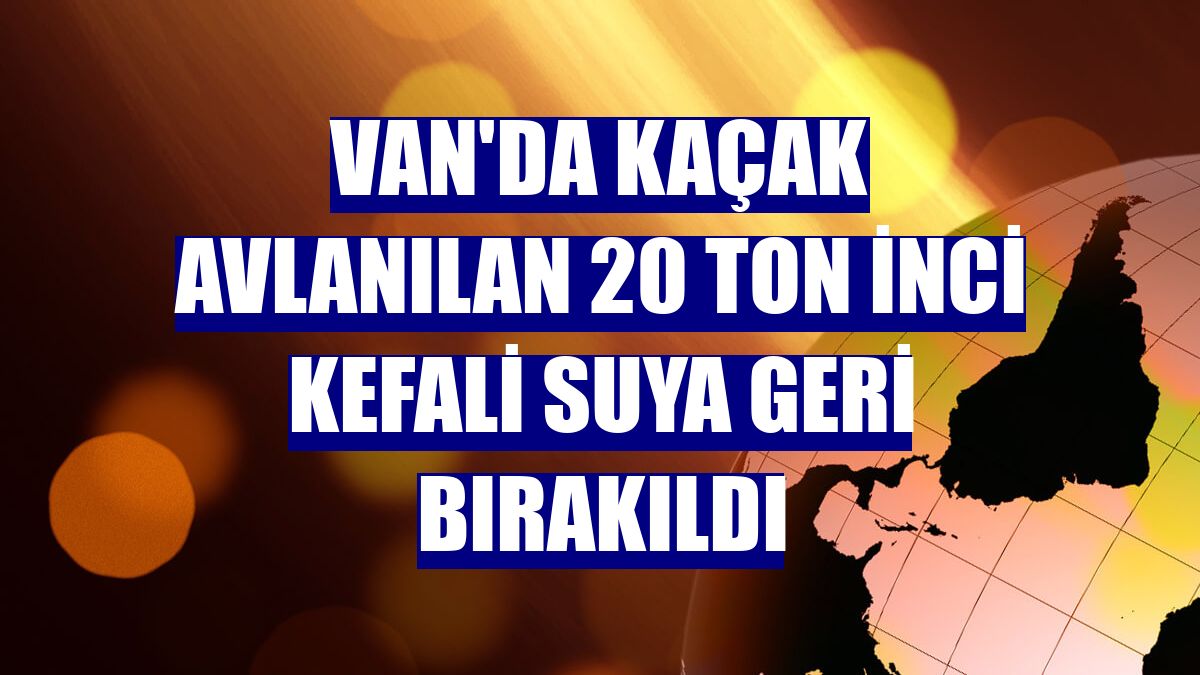 Van'da kaçak avlanılan 20 ton inci kefali suya geri bırakıldı