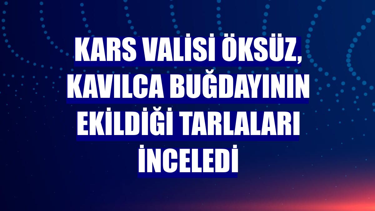 Kars Valisi Öksüz, Kavılca buğdayının ekildiği tarlaları inceledi