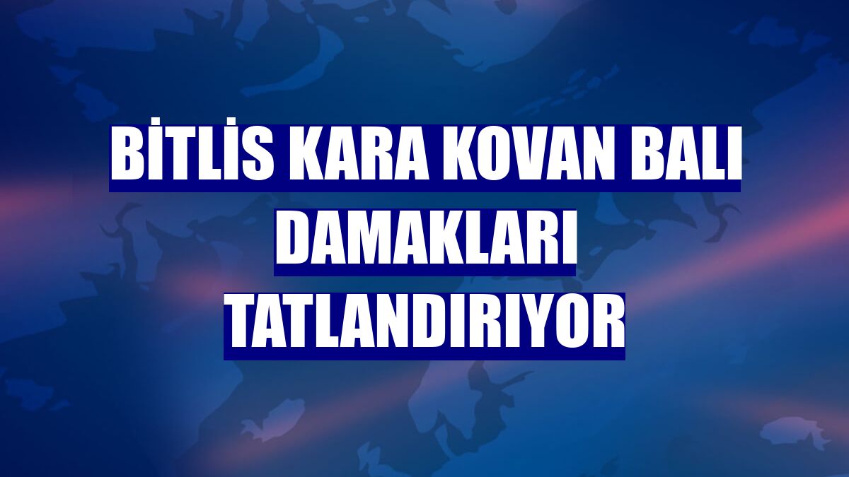 Bitlis kara kovan balı damakları tatlandırıyor