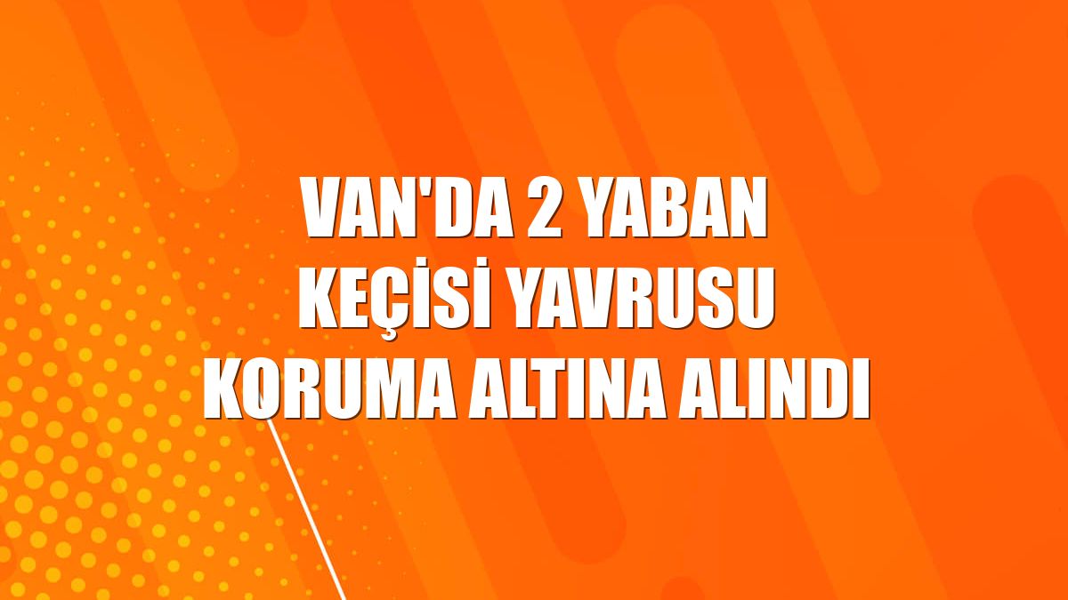 Van'da 2 yaban keçisi yavrusu koruma altına alındı