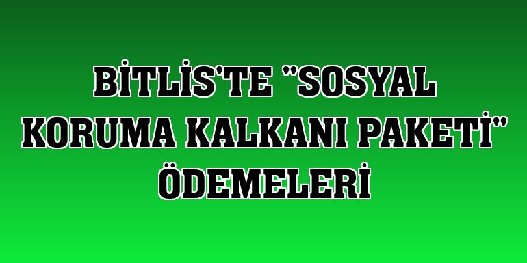 Bitlis'te 'Sosyal Koruma Kalkanı Paketi' ödemeleri