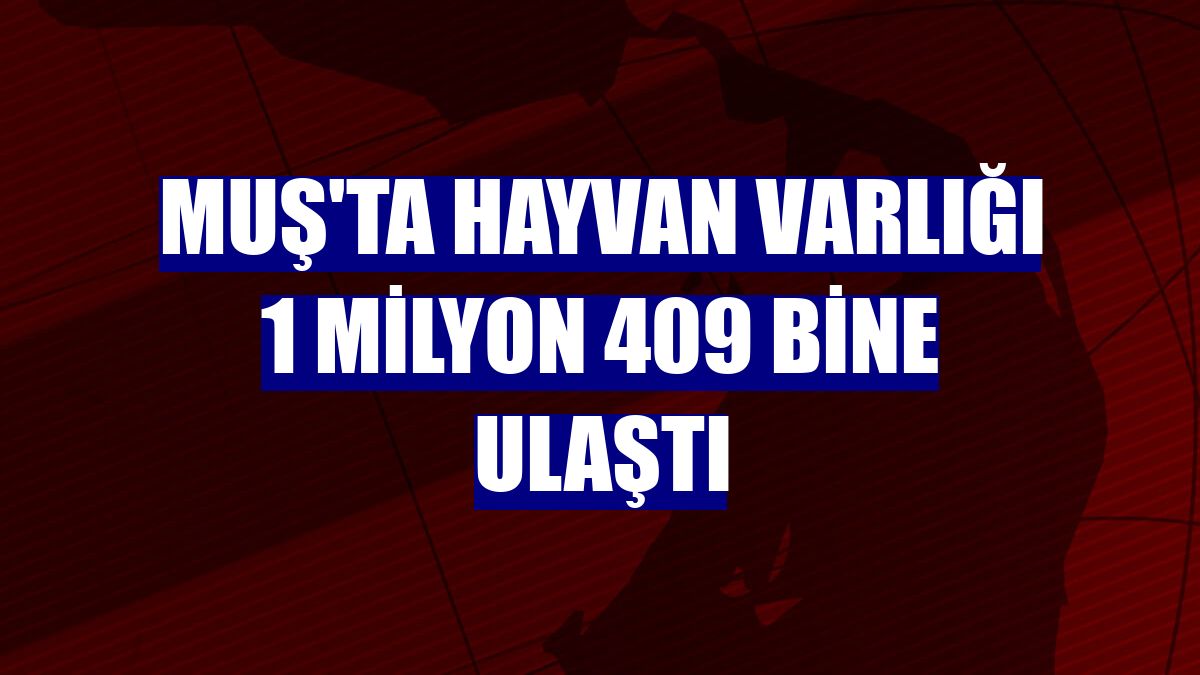Muş'ta hayvan varlığı 1 milyon 409 bine ulaştı