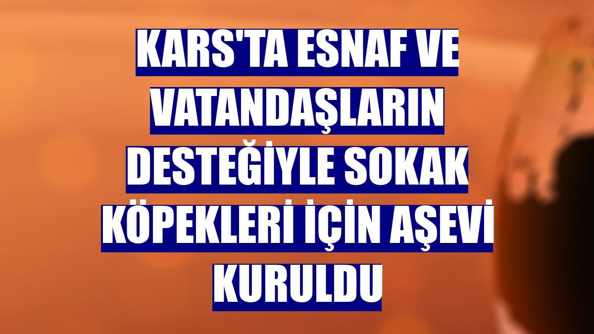 Kars'ta esnaf ve vatandaşların desteğiyle sokak köpekleri için aşevi kuruldu
