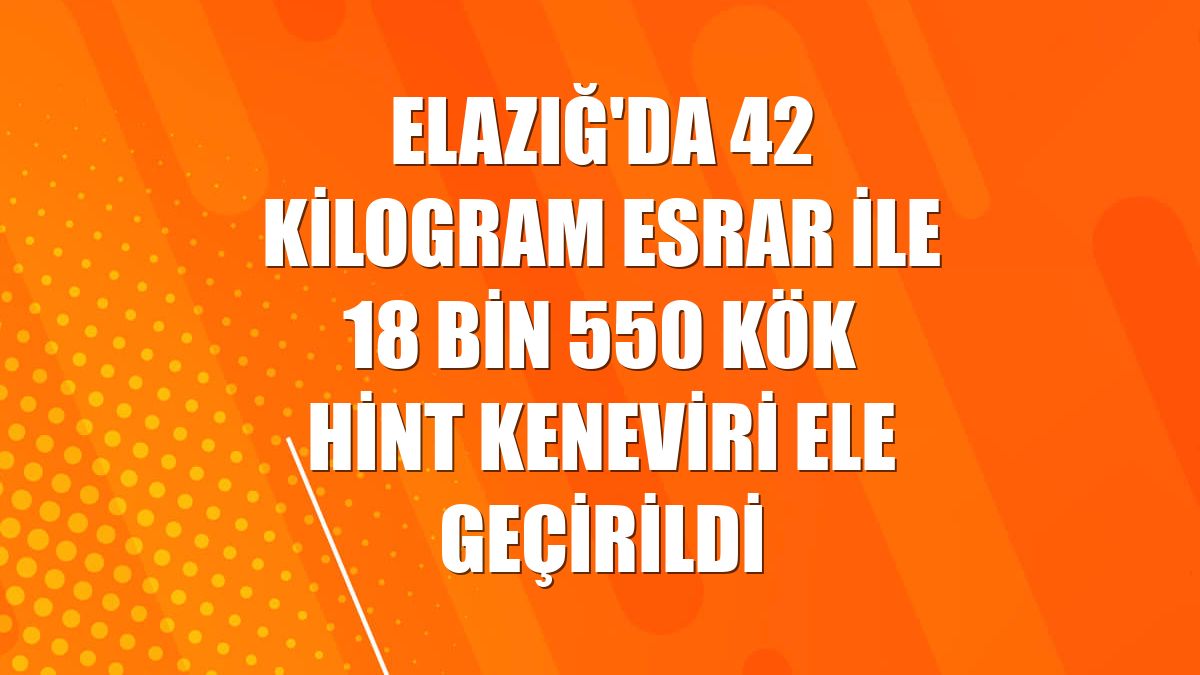 Elazığ'da 42 kilogram esrar ile 18 bin 550 kök Hint keneviri ele geçirildi