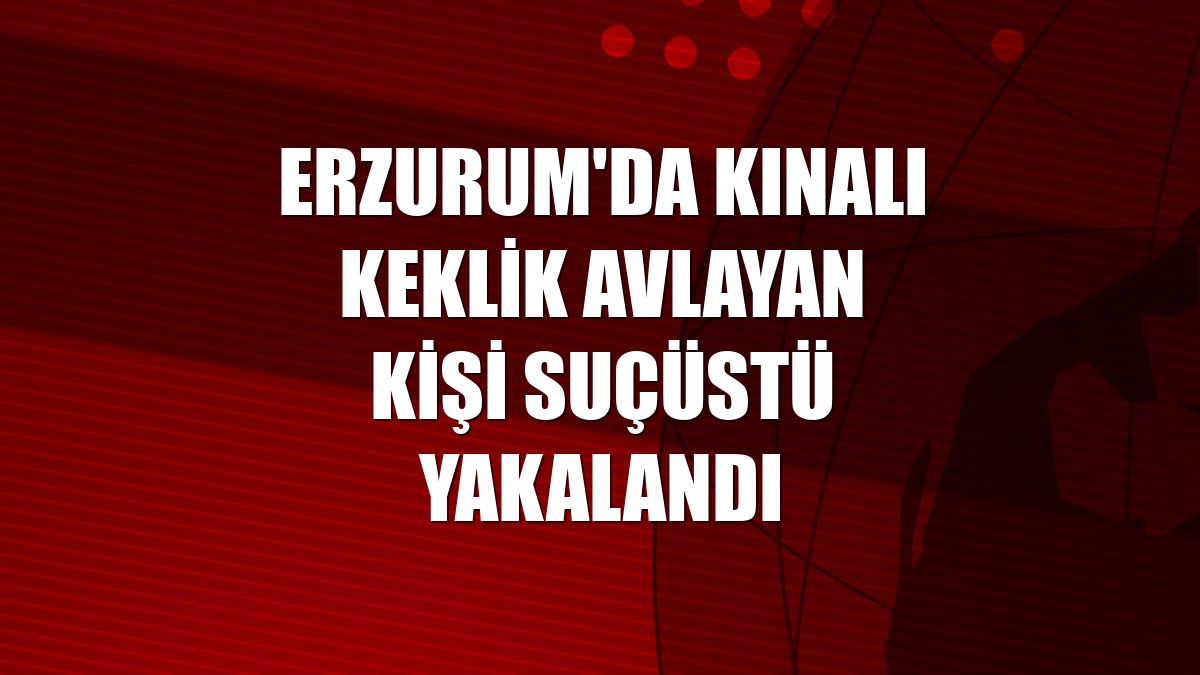 Erzurum'da kınalı keklik avlayan kişi suçüstü yakalandı