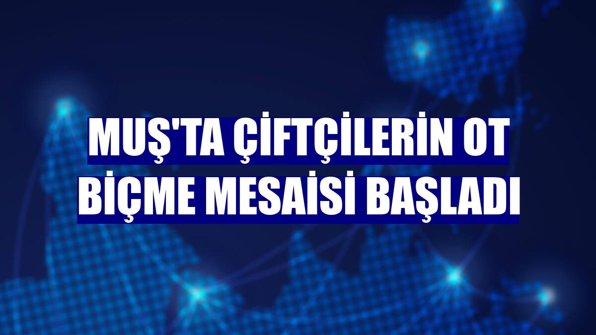 Muş'ta çiftçilerin ot biçme mesaisi başladı