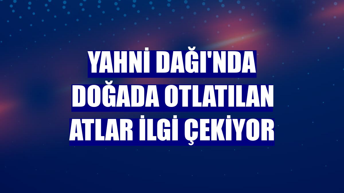 Yahni Dağı'nda doğada otlatılan atlar ilgi çekiyor