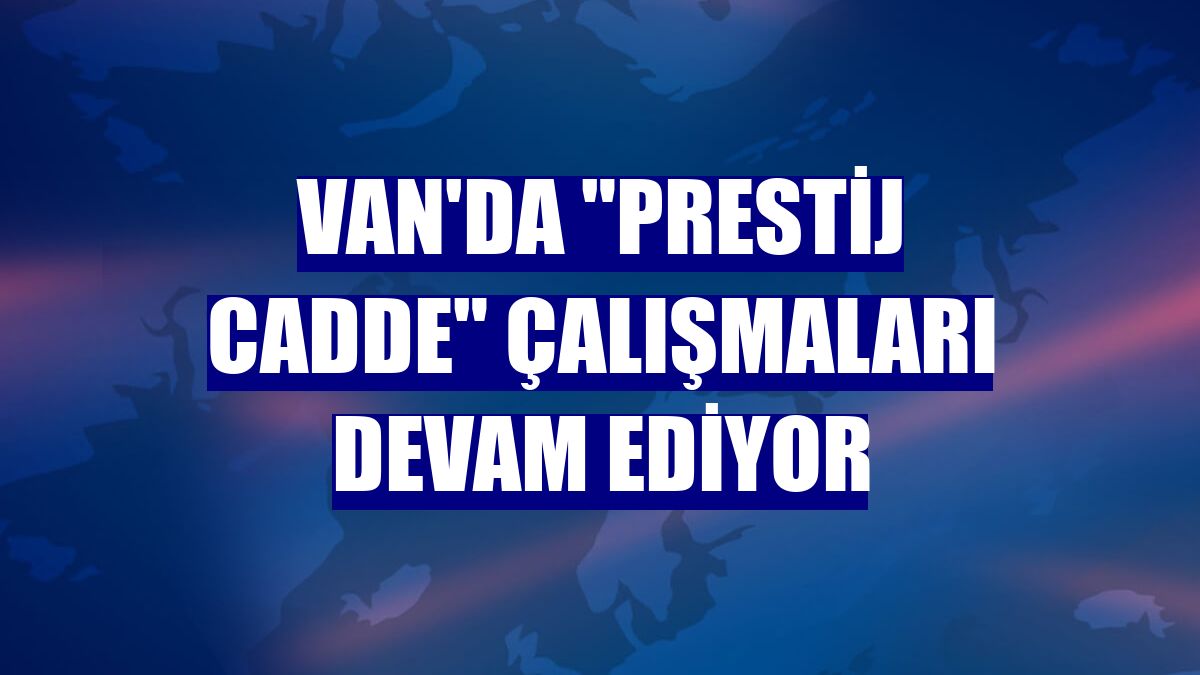 Van'da "prestij cadde" çalışmaları devam ediyor