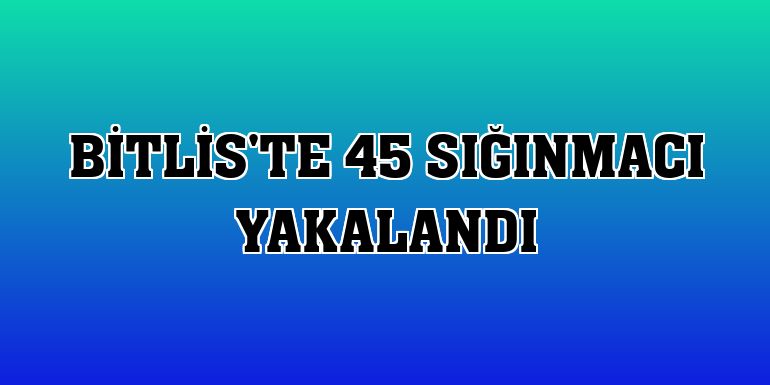 Bitlis'te 45 sığınmacı yakalandı