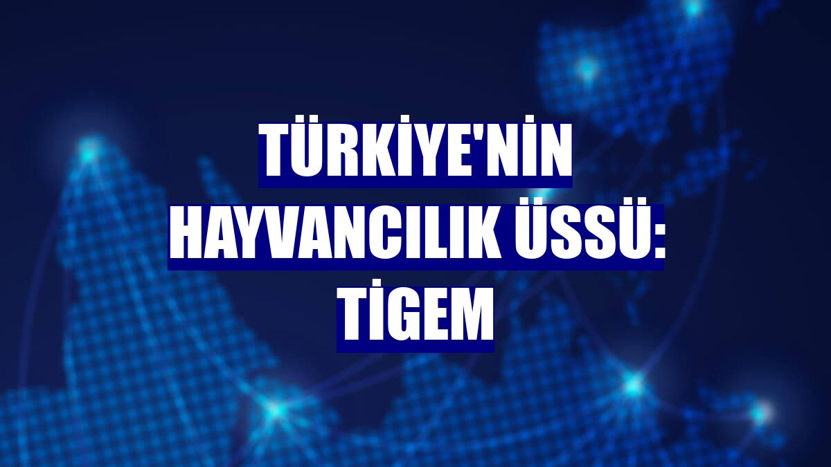 Türkiye'nin hayvancılık üssü: TİGEM